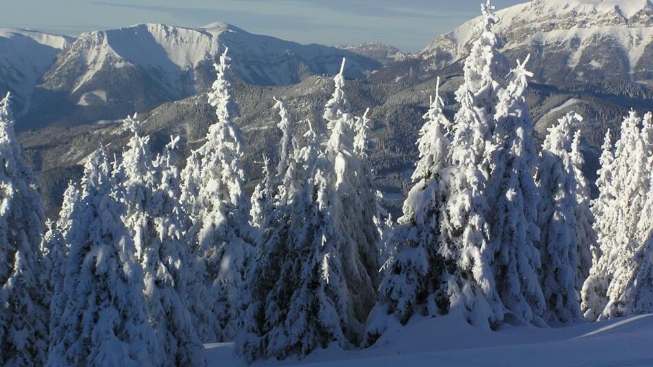 Snowshoe Walking Auf die Ganzalm - Touren-Impression #2.2 | © TV Hochsteiermark