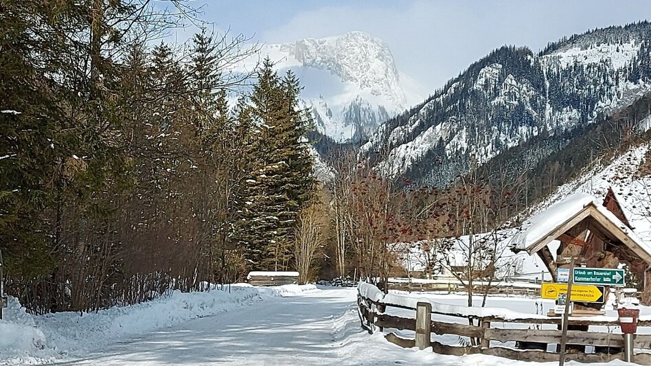 Winterwandern Winterwanderung zum Schwabenbartl - Touren-Impression #2.2 | © TV Hochsteiermark