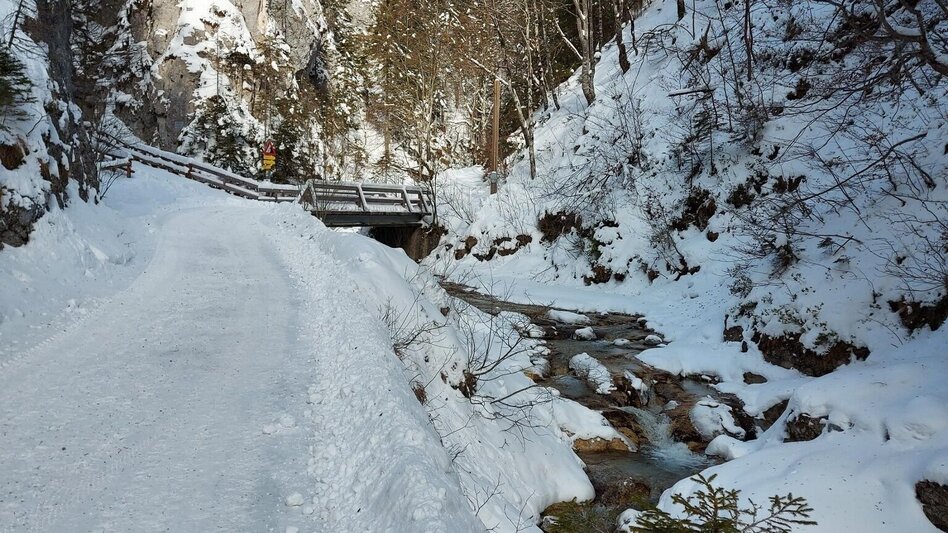 Winterwandern Winterwanderung zum Schwabenbartl - Touren-Impression #2.5 | © TV Hochsteiermark