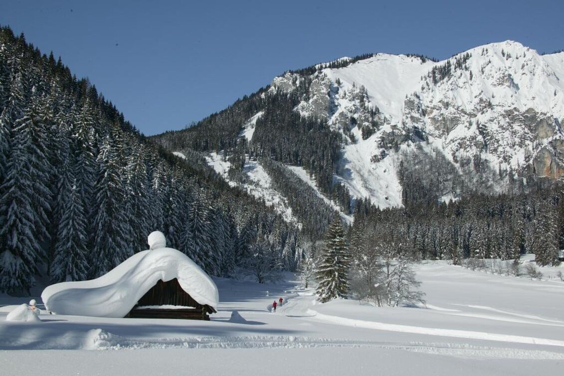 Ski-Nordic Classic cross-country trail Eisenerzer Ramsau - Touren-Impression #1 | © Tourismusverband ERZBERG LEOBEN