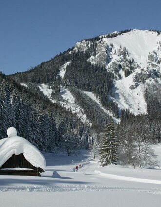 Winterwunderland Eisenerzer Ramsau | Foto Freisinger | © Tourismusverband ERZBERG LEOBEN