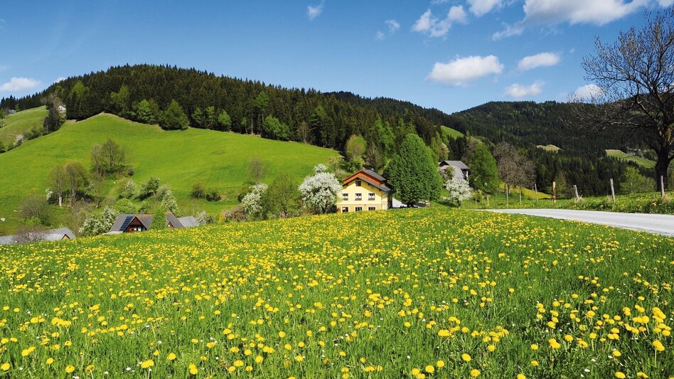 Wanderung KERN-BUAM Panorama-Wanderweg: Variante B - Touren-Impression #2.3 | © Region Graz