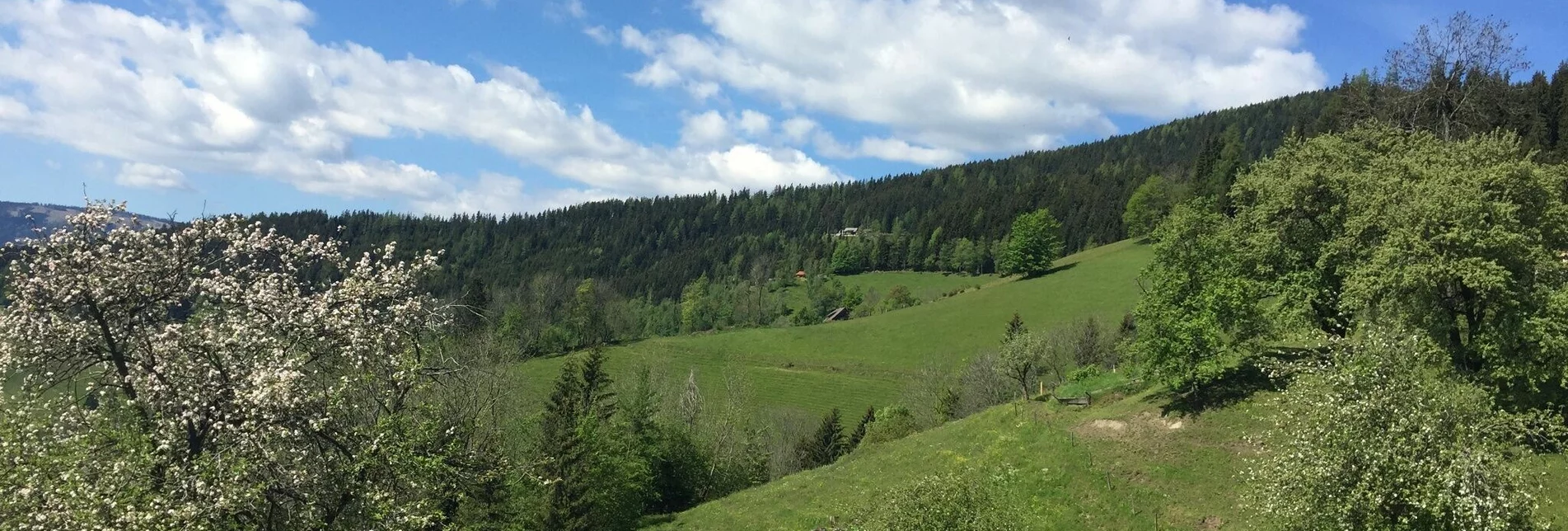 Hiking route KERN-BUAM Panorama-Wanderweg: Variante A - Touren-Impression #1 | © Region Graz