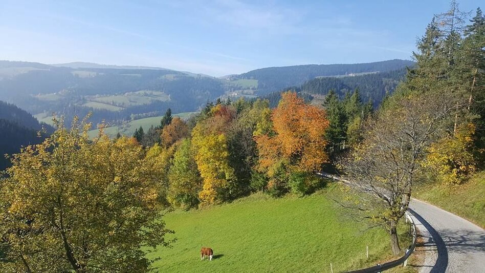 Wanderung KERN-BUAM Panorama-Wanderweg: Variante A - Touren-Impression #2.3 | © Region Graz