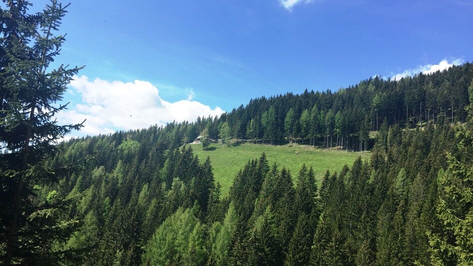 Wanderung KERN-BUAM Panorama-Wanderweg: Variante A - Touren-Impression #2.10 | © Region Graz