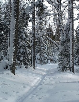 Eine sagenhafte Schneeschuhwanderung_Fischbach_Oststeiermark | Hubert Novak | © Oststeiermark Tourismus