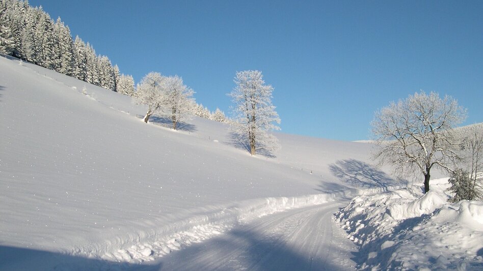 Winterwandern Fischbacher Winterwanderweg am Höhenweg, Fischbach - Touren-Impression #2.2 | © Tourismus Fischbach