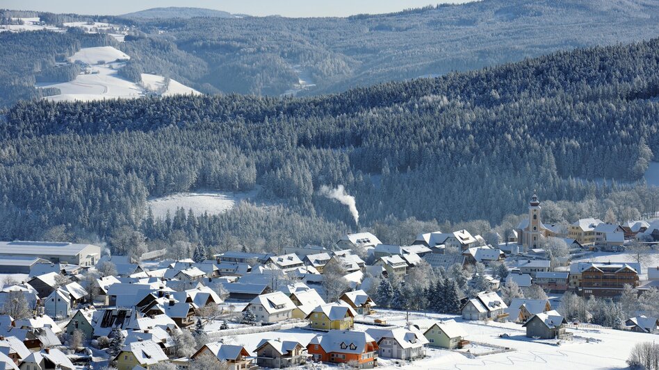 Winterwandern Fischbacher Winterwanderweg am Höhenweg, Fischbach - Touren-Impression #2.3 | © Oststeiermark Tourismus