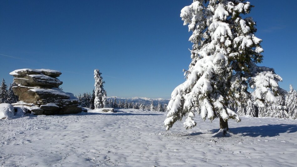 Schneeschuhwandern Teufelstein - Eine sagenhafte Schneeschuhwanderung, Fischbach - Touren-Impression #2.1 | © TV Fischbach