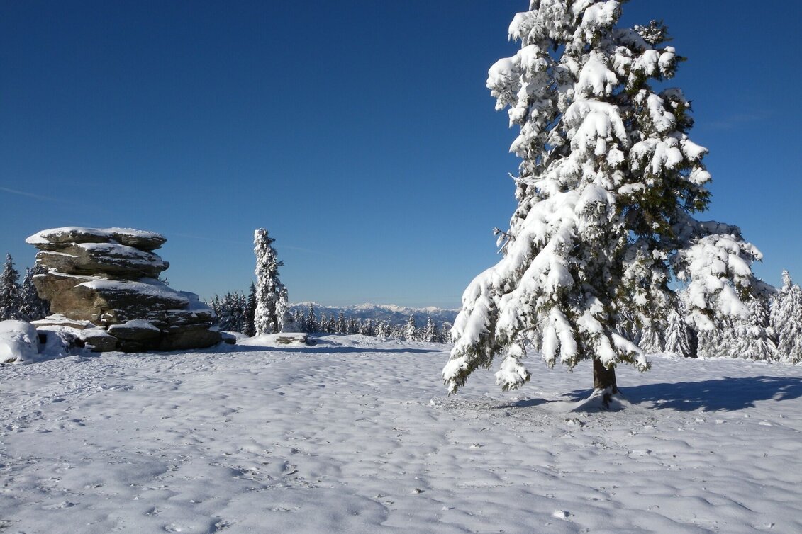 Schneeschuhwandern Teufelstein - Eine sagenhafte Schneeschuhwanderung, Fischbach - Touren-Impression #1 | © TV Fischbach