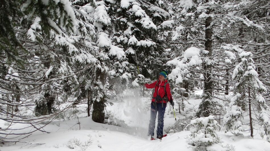 Schneeschuhwandern Teufelstein - Eine sagenhafte Schneeschuhwanderung, Fischbach - Touren-Impression #2.2 | © Oststeiermark Tourismus