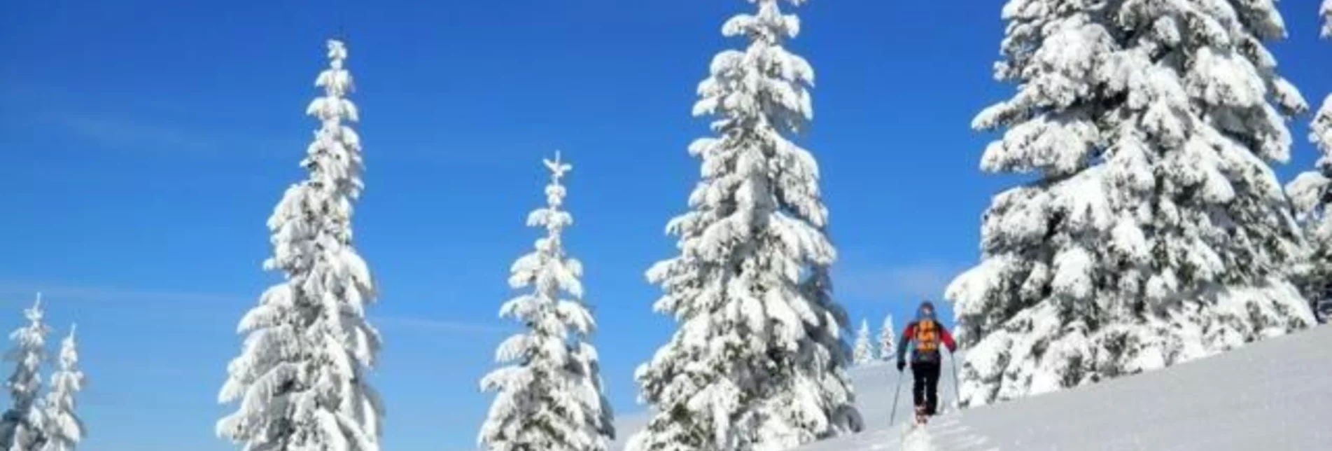 Schneeschuh Winterliche Märchenwiese und Reithkogel - Touren-Impression #1 | © Oststeiermark Tourismus