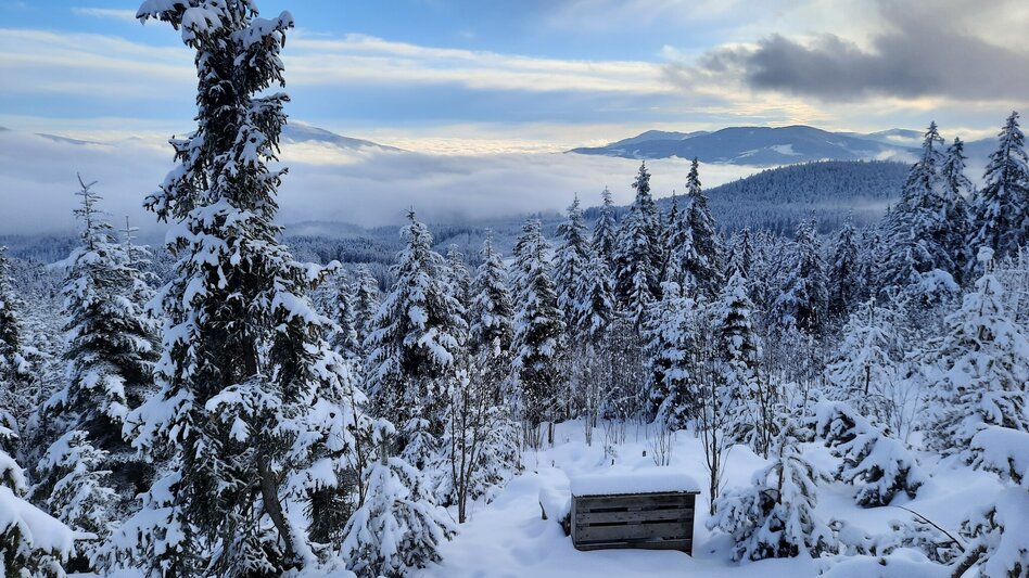 Snowshoe Walking Winter fairytale meadow and Reithkogel, Fischbach - Touren-Impression #2.9 | © Tourismus Fischbach