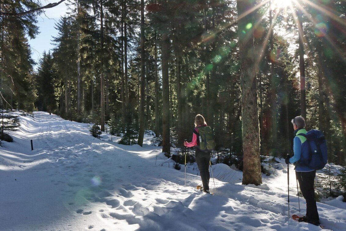 Snowshoe Walking Along the Fischbach stream with snowshoes, Fischbach - Touren-Impression #1 | © Oststeiermark Tourismus