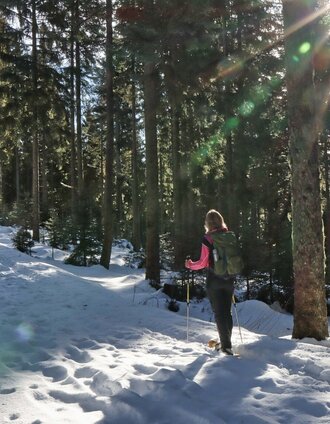 Hiking trail in the forest to Teufelstein_Fischbach_Eastern Styria | WEGES | © Oststeiermark Tourismus