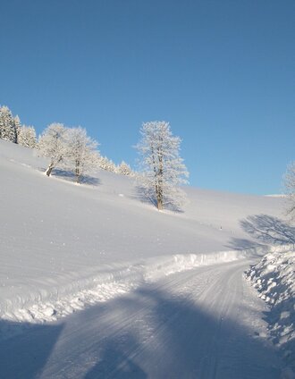Winter hiking in Falkenstein_Fischbach_Eastern Styria | Marianne Dornhofer | © Tourismus Fischbach