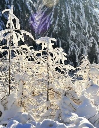 Winter in Fischbach | Andreas Steininger | © Steiermark Tourismus