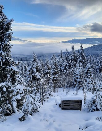View of Reithkogl_Fischbach_Eastern Styria | Kathrin Karelly | © Tourismus Fischbach