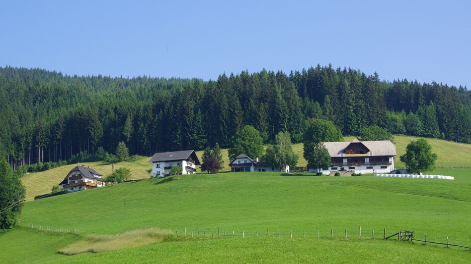 Wanderung Fischbacher Höhenweg, Fischbach - Touren-Impression #2.2 | © Familie Breitegger