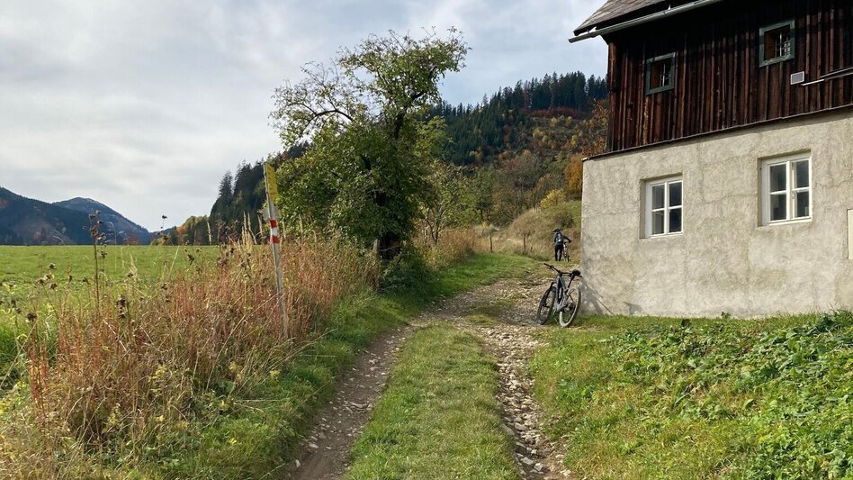 Mountain Biking Erzbergblick MTB LN 12 - Touren-Impression #2.9 | © Tourismusverband ERZBERG LEOBEN
