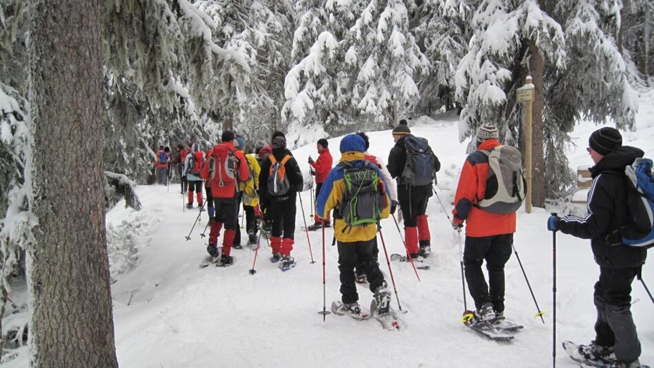 Schneeschuhwandern Hausbergrunde - Touren-Impression #2.1 | © TV Hochsteiermark