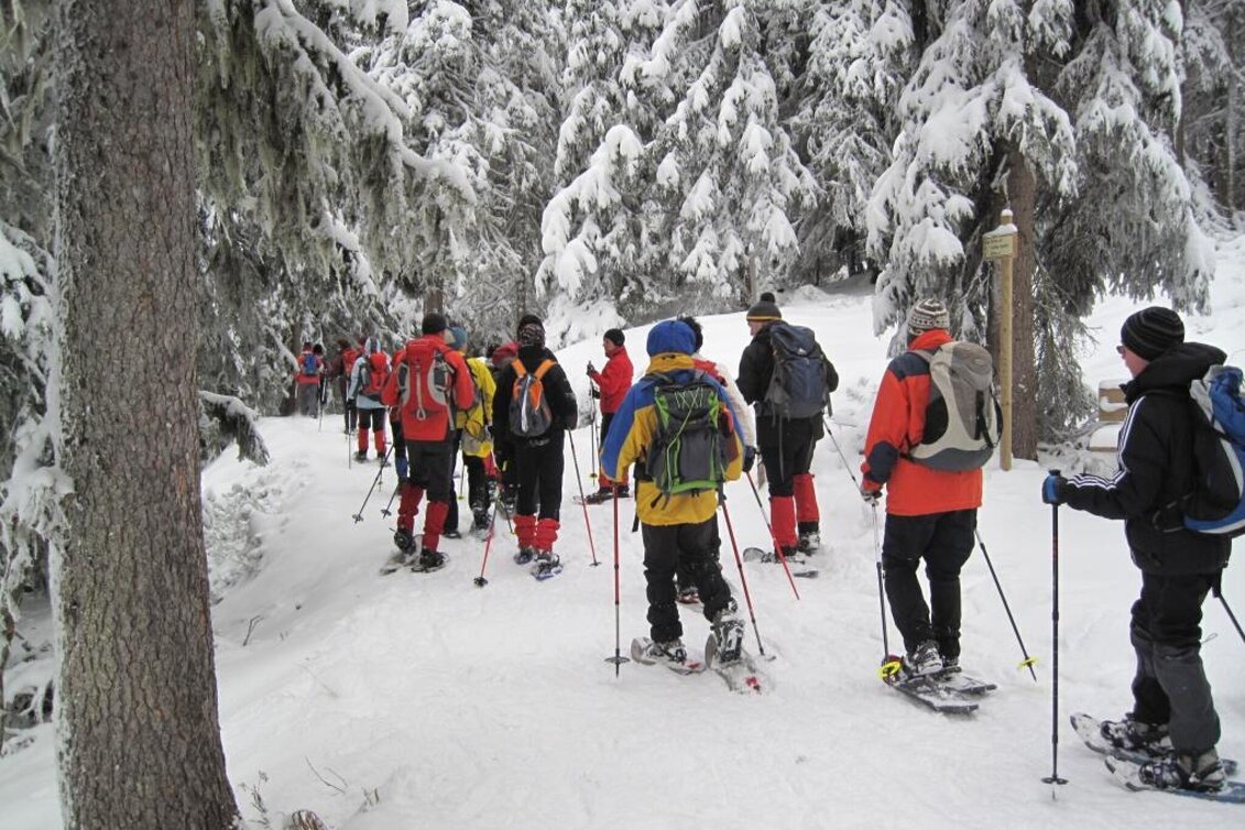 Schneeschuhwandern Hausbergrunde - Touren-Impression #1 | © TV Hochsteiermark