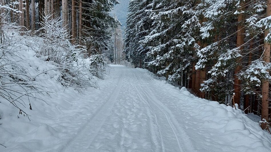 Schneeschuhwandern Hausbergrunde - Touren-Impression #2.2 | © TV Hochsteiermark