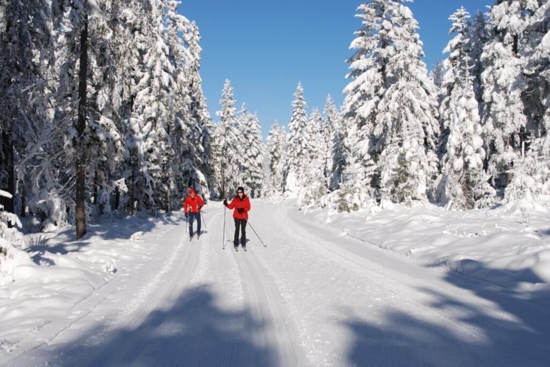 Langlauf Skating Panoramaloipe - Langlaufzentrum Hochwechsel/ Rabl-Kreuz, Waldbach-Mönichwald - Touren-Impression #1 | © Oststeiermark Tourismus