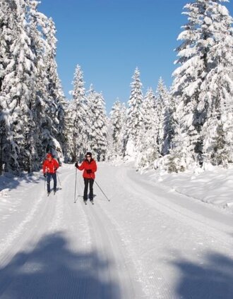 Langlaufen | Zingl Josef | © Oststeiermark Tourismus