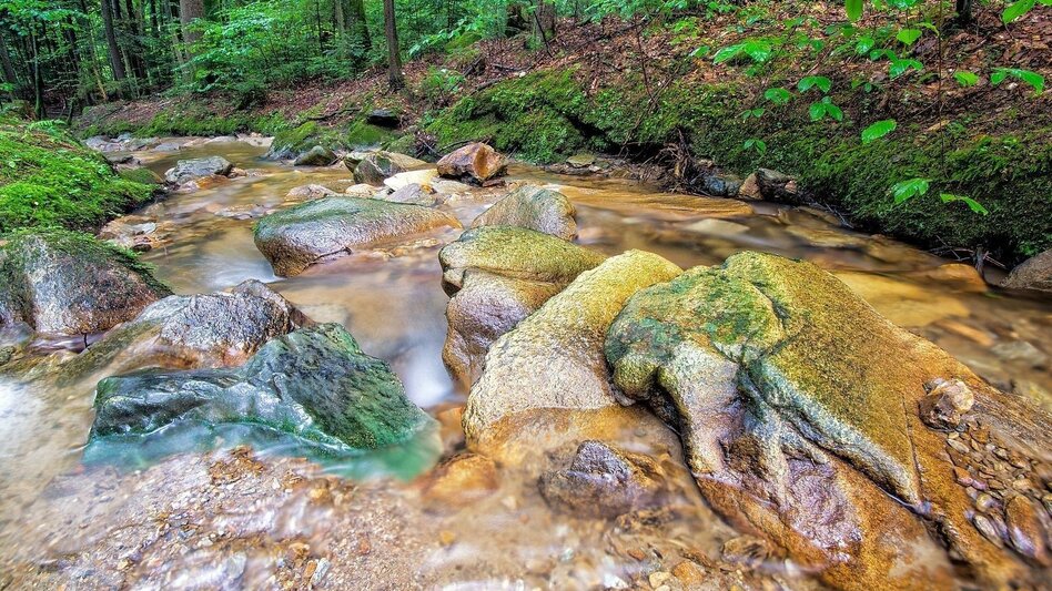 Wanderung 7 Bacherl-Weg, Stubenberg am See - Touren-Impression #2.1 | © Oststeiermark Tourismus