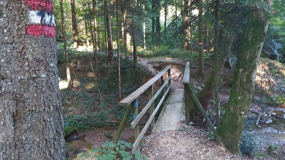 Wanderung 7 Bacherl-Weg, Stubenberg am See - Touren-Impression #2.10 | © Oststeiermark Tourismus