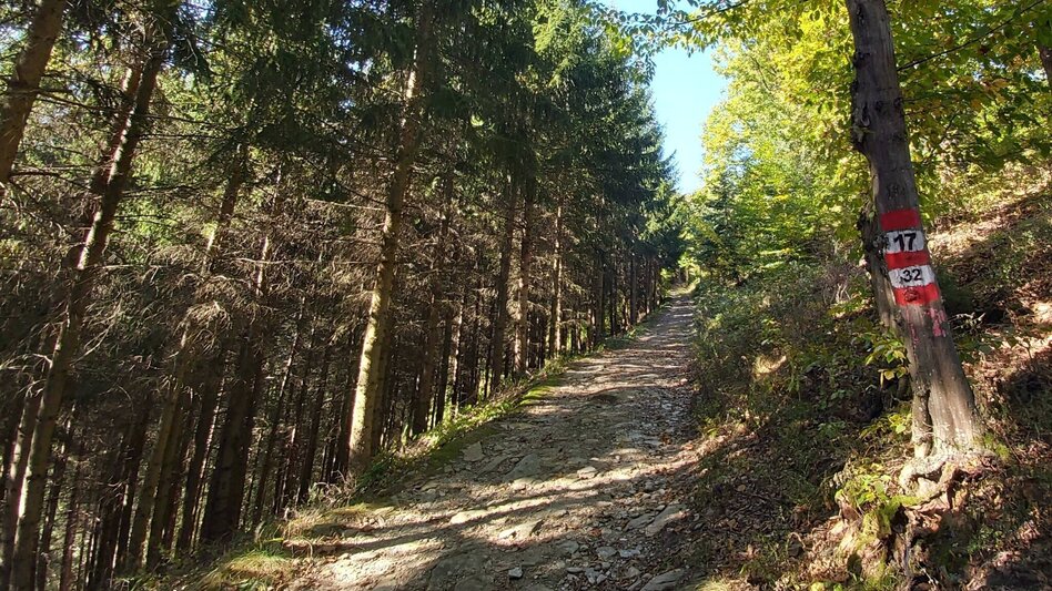 Wanderung 7 Bacherl-Weg, Stubenberg am See - Touren-Impression #2.5 | © Oststeiermark Tourismus