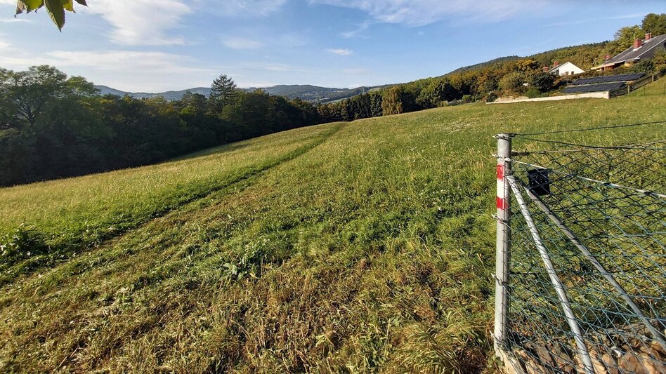 Wanderung 7 Bacherl-Weg, Stubenberg am See - Touren-Impression #2.12 | © Oststeiermark Tourismus