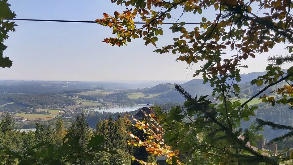 Wanderung 7 Bacherl-Weg, Stubenberg am See - Touren-Impression #2.9 | © Oststeiermark Tourismus