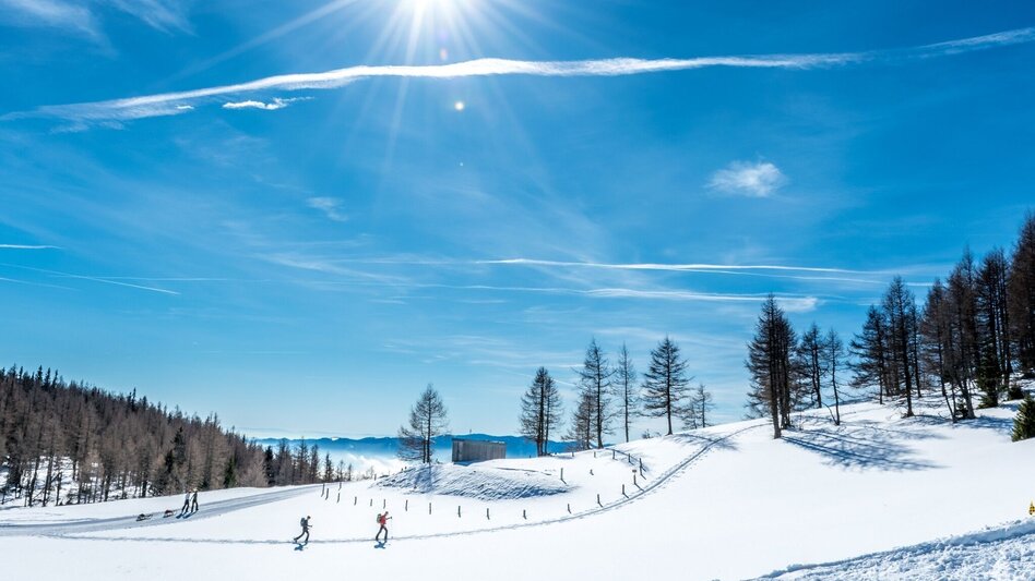 Schneeschuhwandern Von der Aflenzer Bürgeralm auf die Schönleiten - Touren-Impression #2.4 | © TV Hochsteiermark