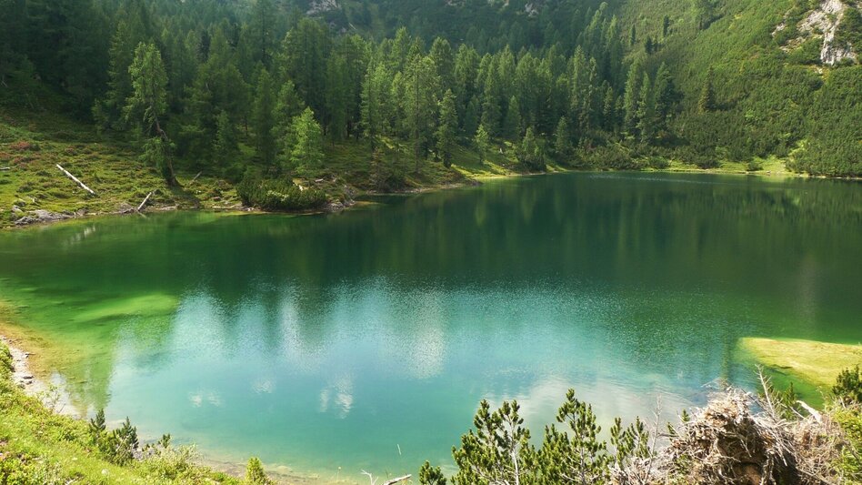 Bergtour Stoderzinken - Ahornsee - Weißenbach - Touren-Impression #2.7 | © Privat