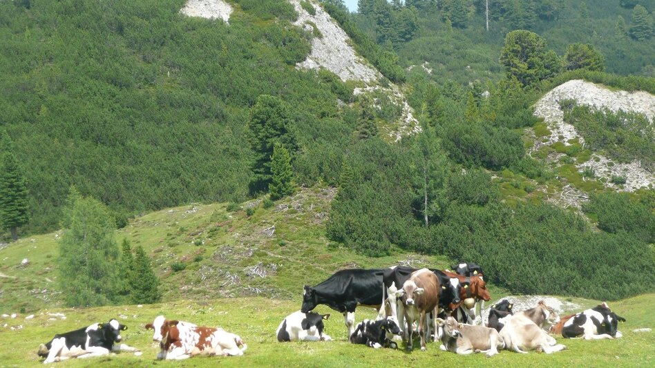 Bergtour Stoderzinken - Ahornsee - Weißenbach - Touren-Impression #2.6 | © Privat
