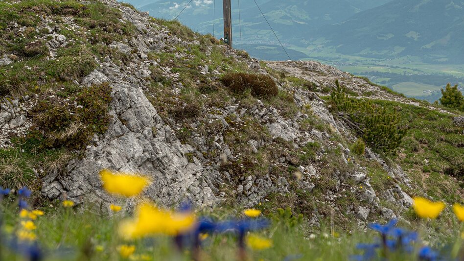 Bergtour Von Assach auf den Stoderzinken - Touren-Impression #2.2 | © Eggmayr