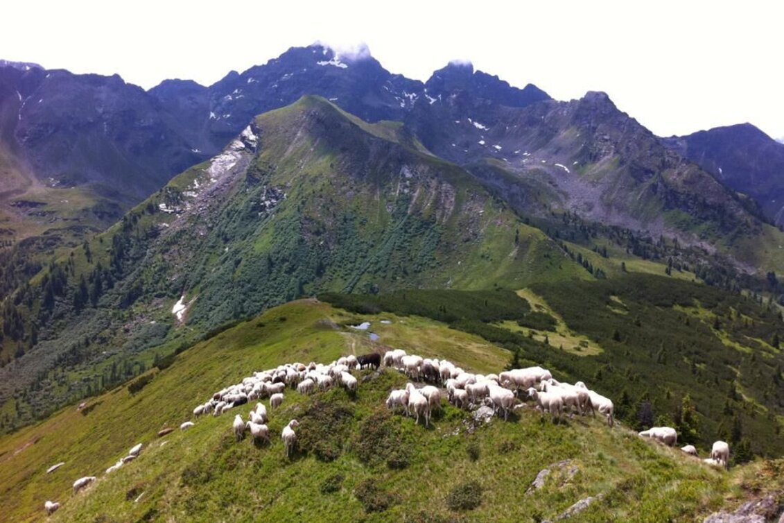 Bergtour Bergtour auf die Bärfallspitze - Touren-Impression #1 | © www.hauser-kaibling.at
