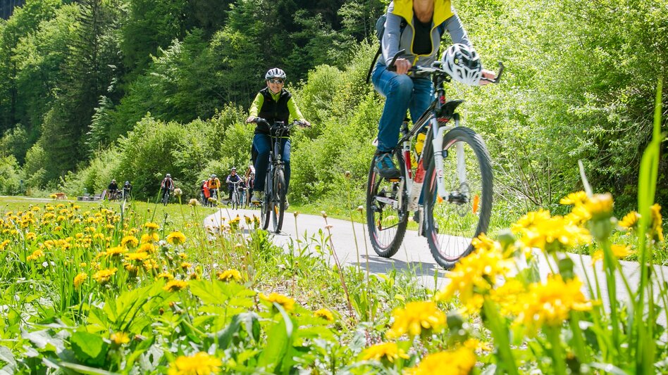 Mountain Biking Urani Mountain Biking Loop - Touren-Impression #2.1 | © Naturpark Mürzer Oberland