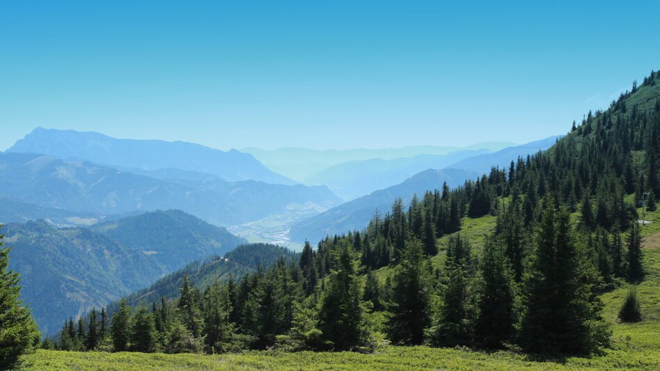 Wanderung 99.999 Schritte Weg - Touren-Impression #2.4 | © TVB Erzberg-Leoben