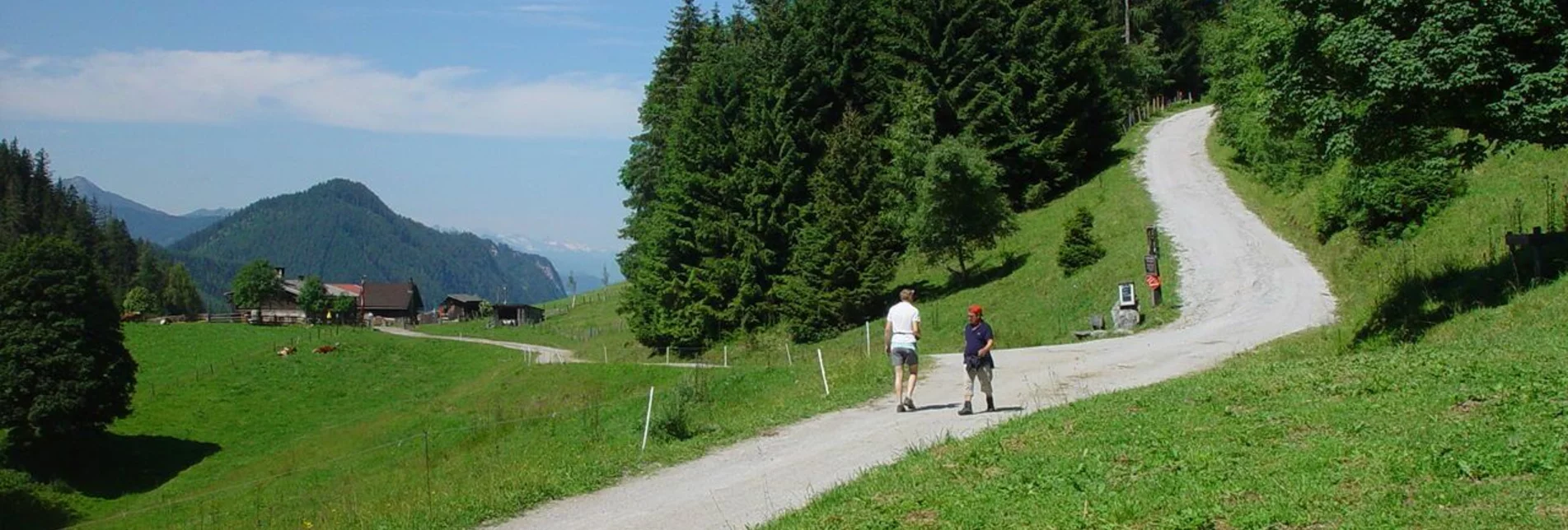 Hiking route Hiking and chalet experience Halserberg-Rittisberg - Touren-Impression #1 | © Schladming-Dachstein