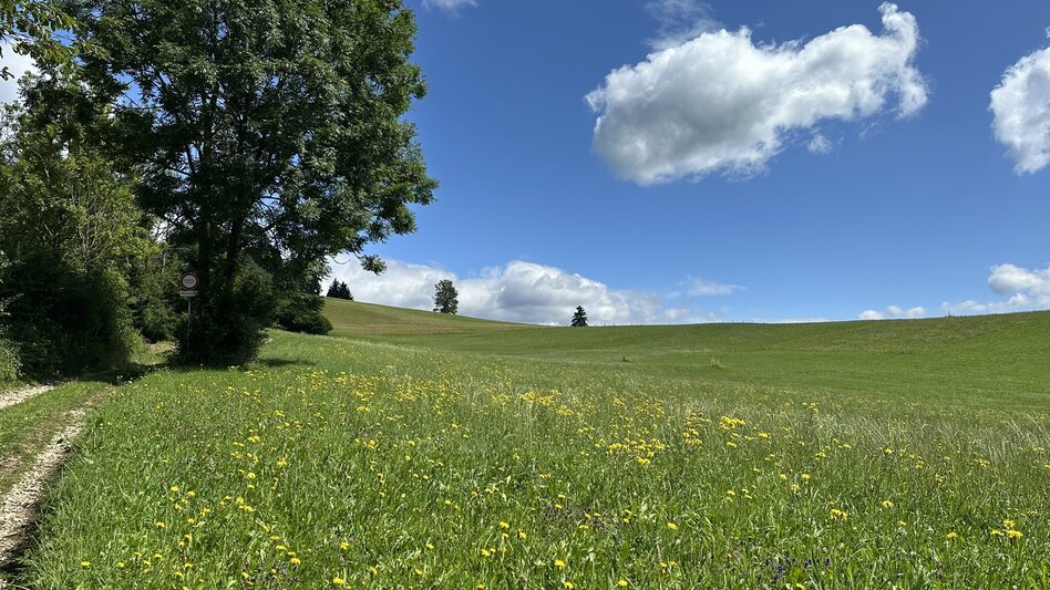 Familienwanderwege Route 2 Marterlweg (blau) - Touren-Impression #2.2 | © TVB Erzberg-Leoben