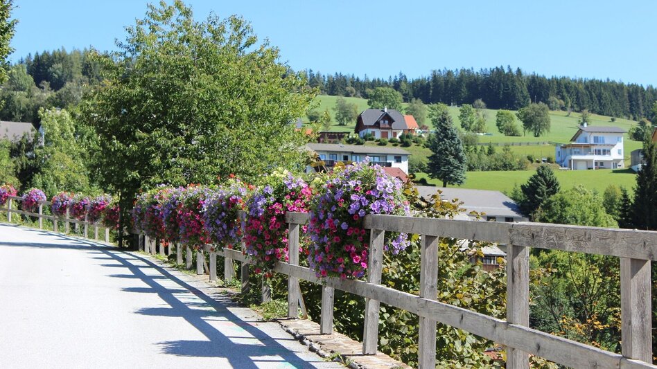 Wanderung Zetz-Runde, St. Kathrein am Offenegg - Touren-Impression #2.2 | © Oststeiermark Tourismus