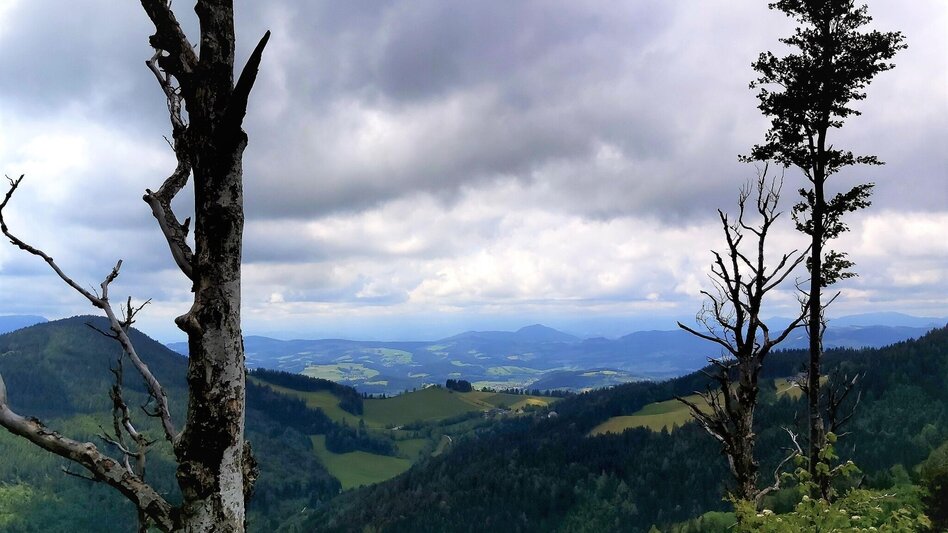 Wanderung Zetz-Runde, St. Kathrein am Offenegg - Touren-Impression #2.4 | © Oststeiermark Tourismus