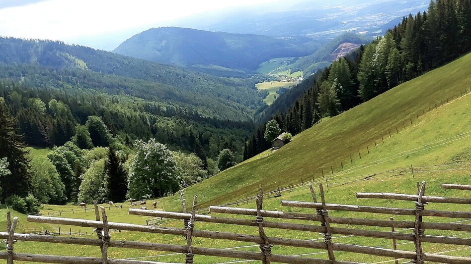 Wanderung Zetz-Runde, St. Kathrein am Offenegg - Touren-Impression #2.7 | © Oststeiermark Tourismus