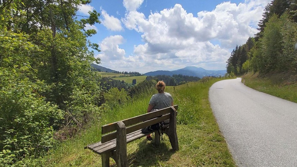Wanderung Zetz-Runde, St. Kathrein am Offenegg - Touren-Impression #2.9 | © Oststeiermark Tourismus
