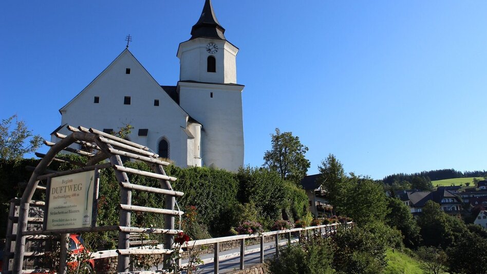 Wanderung Zetz-Runde, St. Kathrein am Offenegg - Touren-Impression #2.11 | © Oststeiermark Tourismus