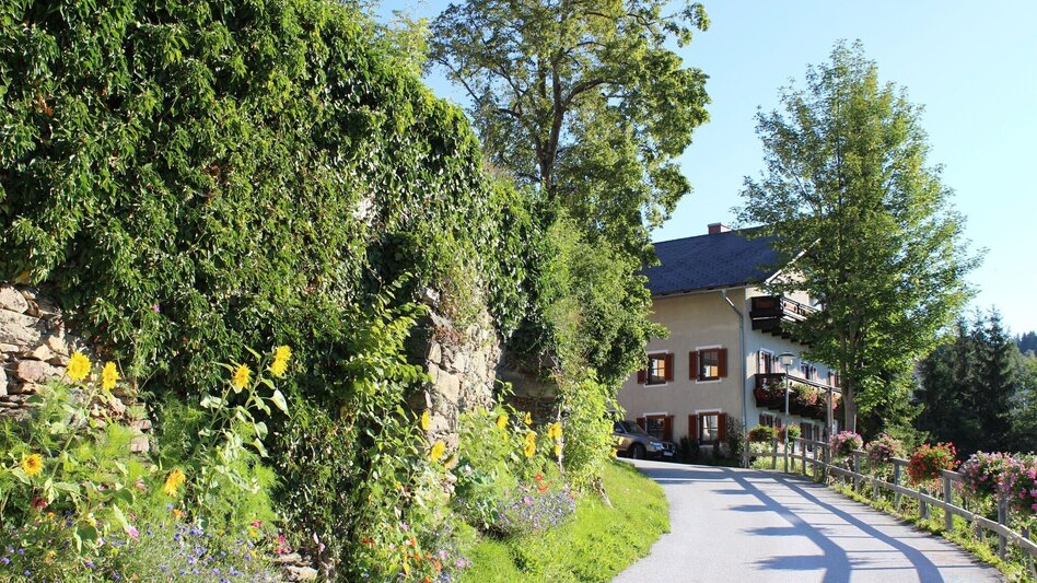 Hiking Route Mistlegg-Runde in St. Kathrein/Offenegg - Touren-Impression #2.2 | © Oststeiermark Tourismus