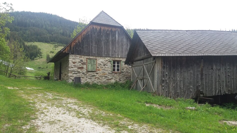 Wanderung Katzbach-Runde - Touren-Impression #2.7 | © Region Graz